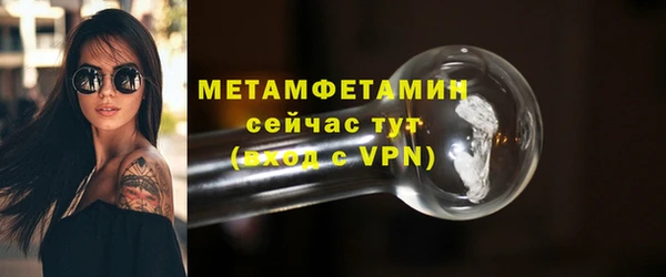 прущие грибы Краснослободск