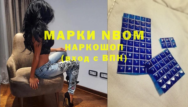 прущие грибы Краснослободск