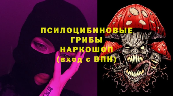 прущие грибы Краснослободск