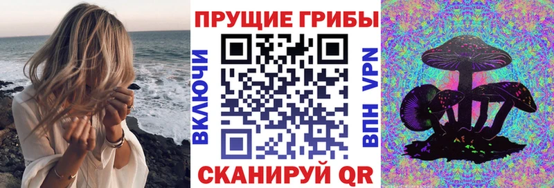 Псилоцибиновые грибы мицелий  Ликино-Дулёво 
