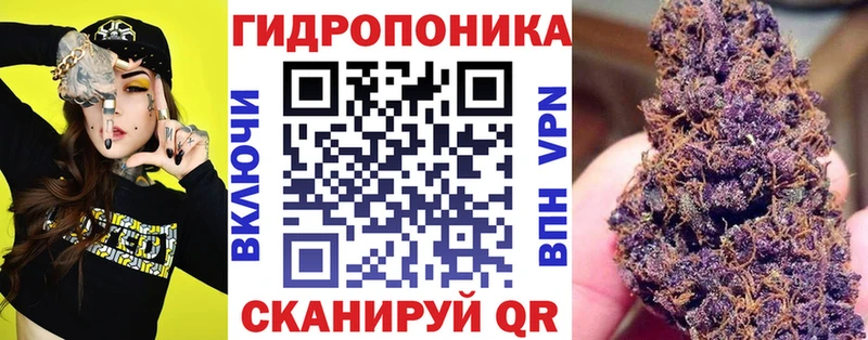 Каннабис OG Kush Ликино-Дулёво